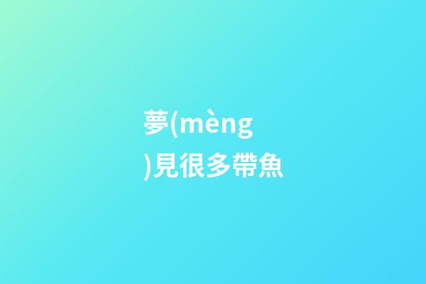 夢(mèng)見很多帶魚