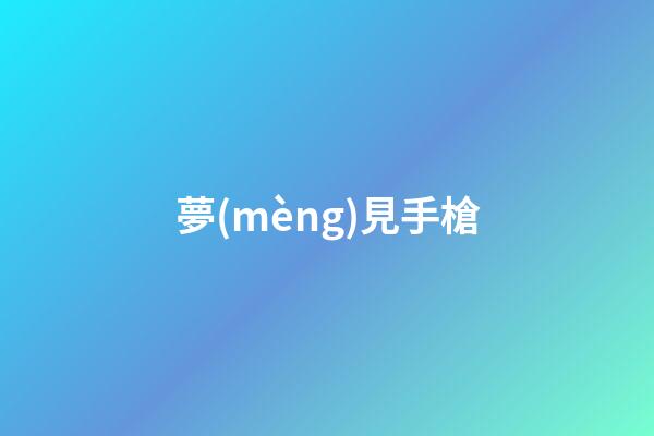 夢(mèng)見手槍