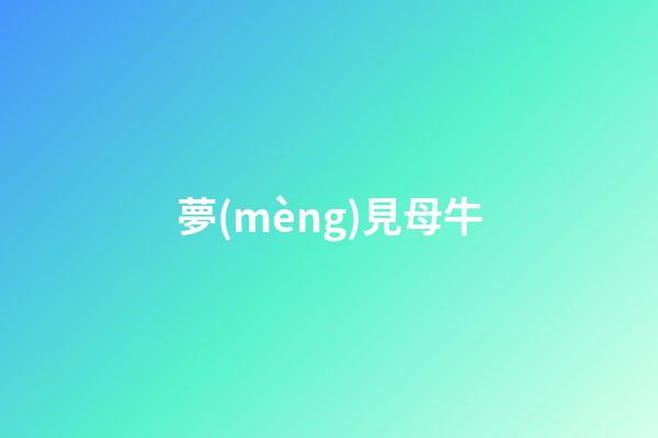 夢(mèng)見母牛