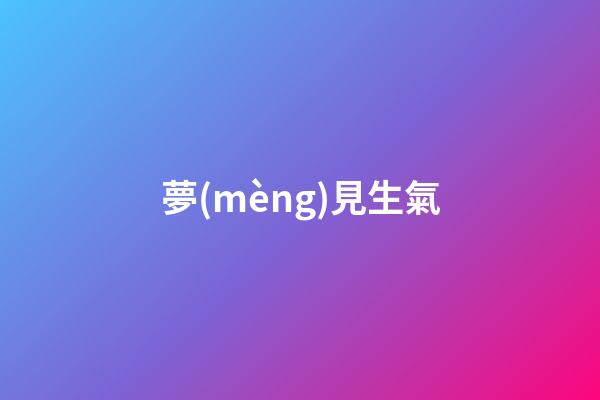 夢(mèng)見生氣