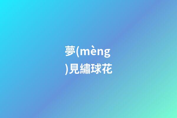 夢(mèng)見繡球花