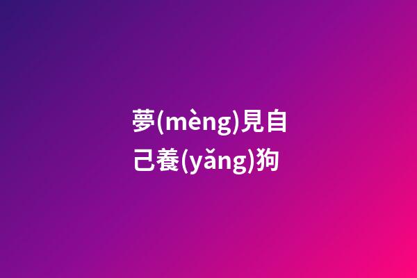 夢(mèng)見自己養(yǎng)狗