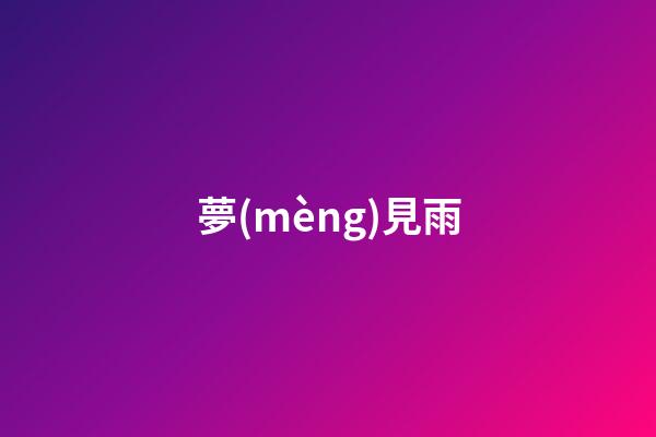 夢(mèng)見雨