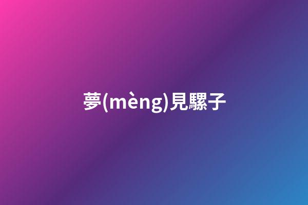 夢(mèng)見騾子