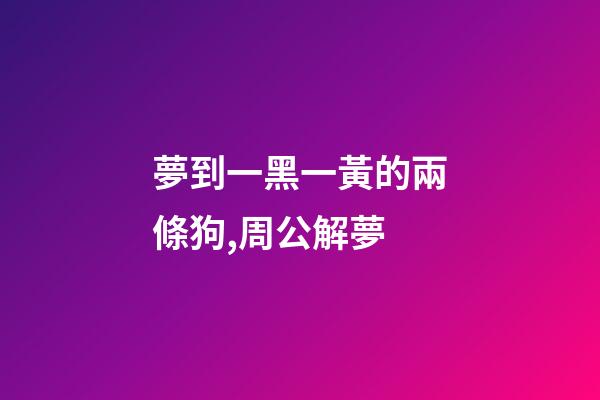 夢到一黑一黃的兩條狗,周公解夢-第1張-觀點-玄機派