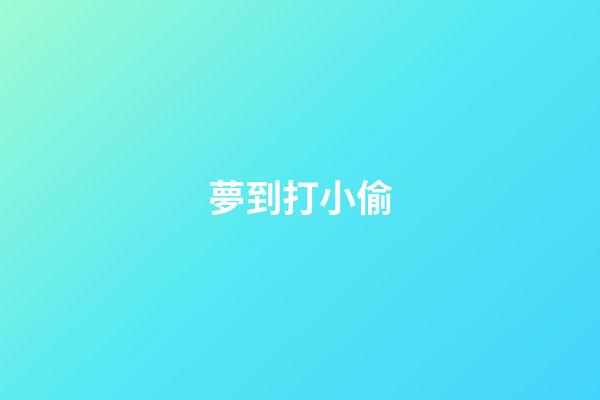 夢到打小偷