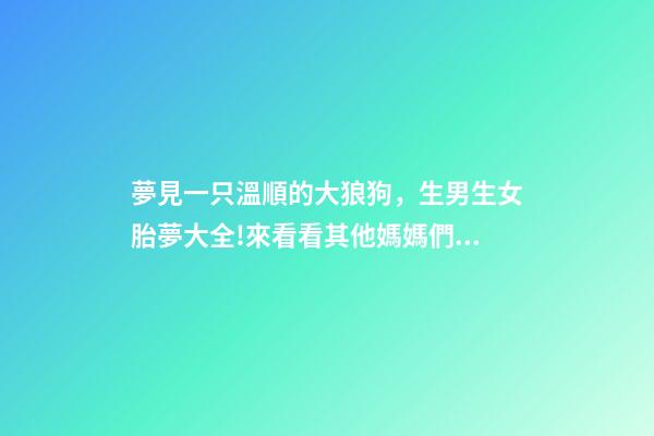 夢見一只溫順的大狼狗，生男生女胎夢大全!來看看其他媽媽們經驗談-第1張-觀點-玄機派