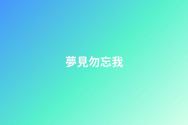 夢見勿忘我