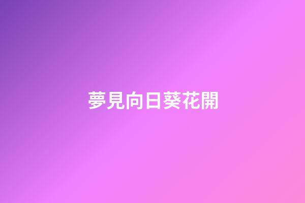 夢見向日葵花開