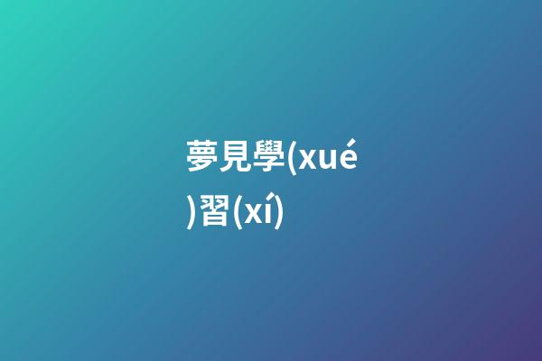 夢見學(xué)習(xí)