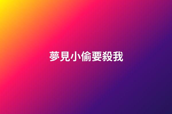 夢見小偷要殺我