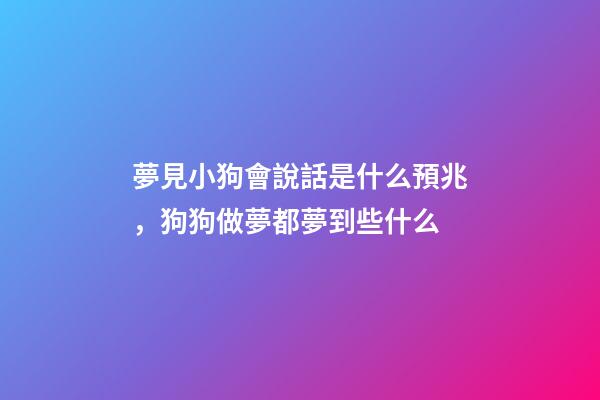 夢見小狗會說話是什么預兆，狗狗做夢都夢到些什么-第1張-觀點-玄機派