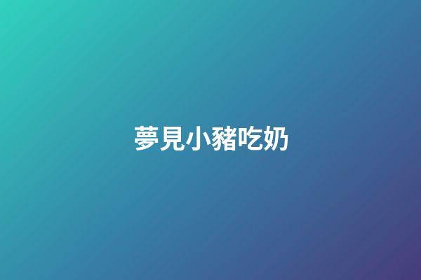 夢見小豬吃奶