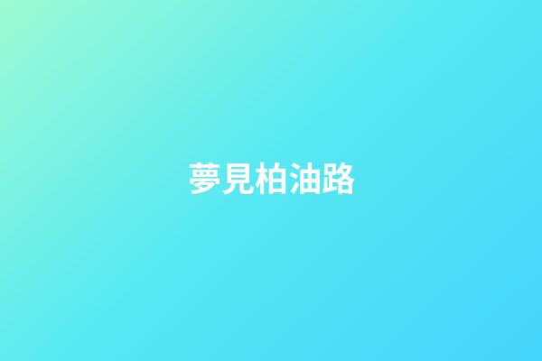 夢見柏油路