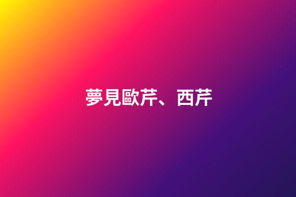 夢見歐芹、西芹