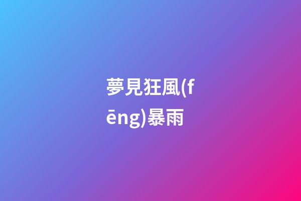 夢見狂風(fēng)暴雨