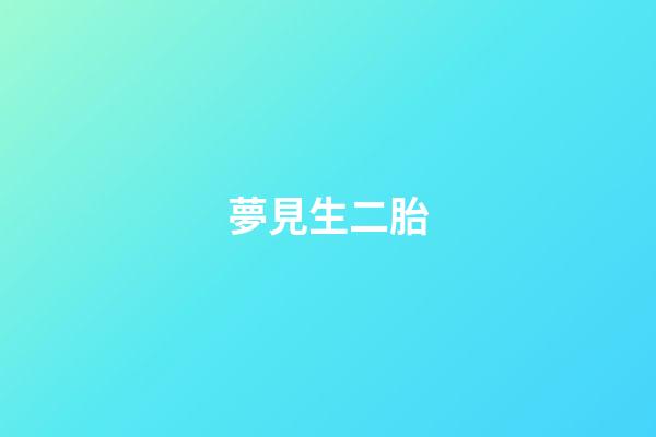夢見生二胎