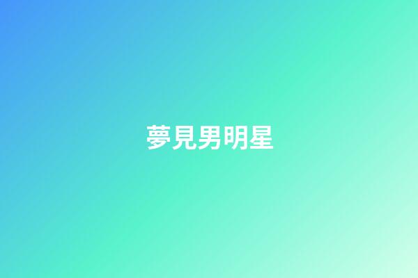 夢見男明星