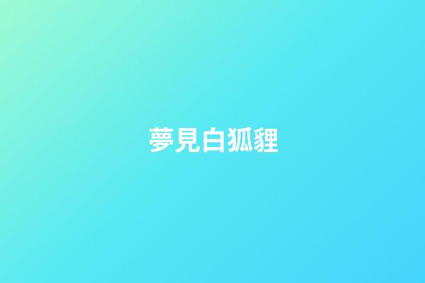 夢見白狐貍