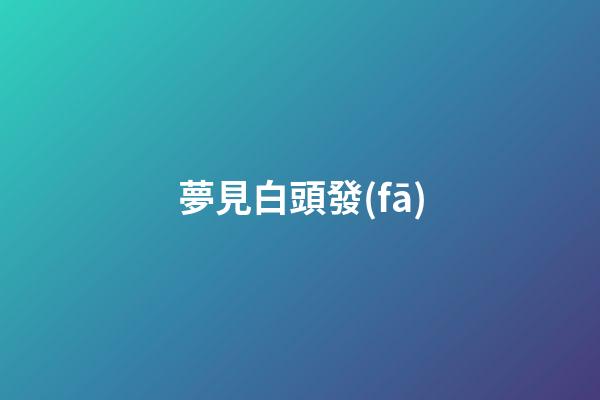 夢見白頭發(fā)