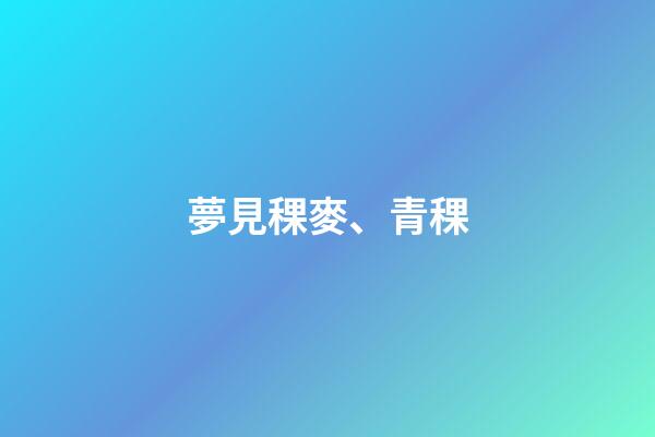 夢見稞麥、青稞