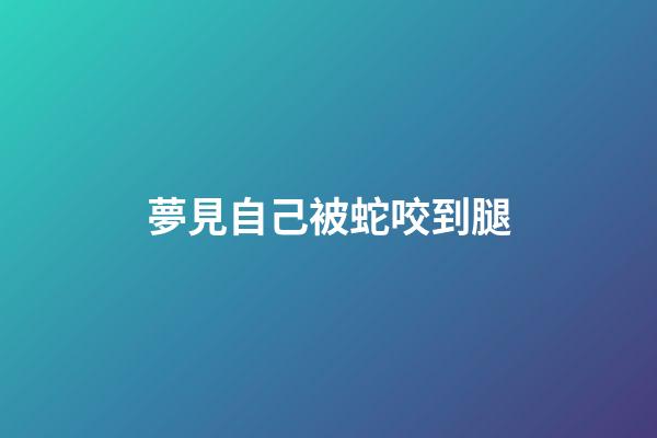 夢見自己被蛇咬到腿