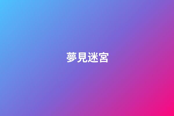 夢見迷宮