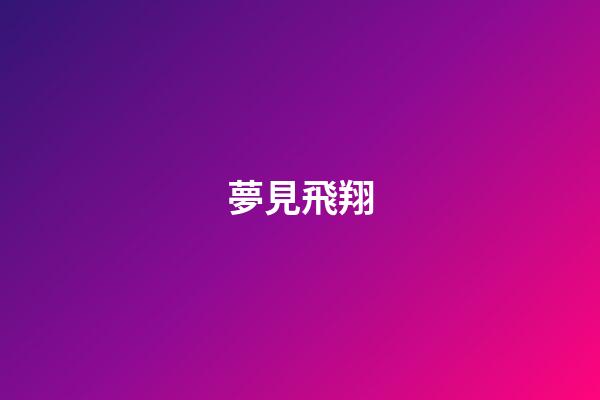夢見飛翔