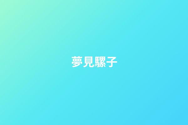 夢見騾子