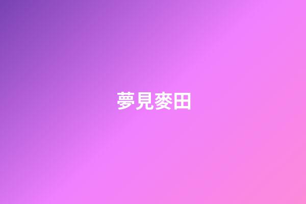 夢見麥田