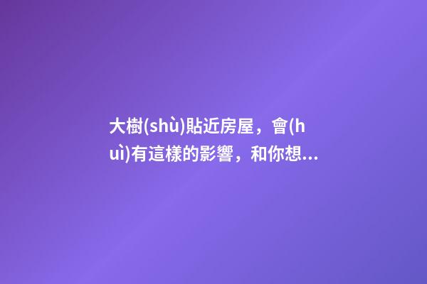 大樹(shù)貼近房屋，會(huì)有這樣的影響，和你想的一樣？