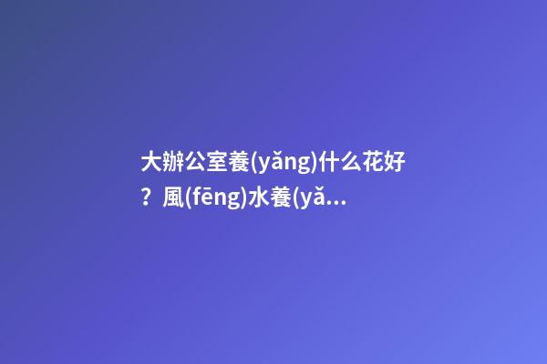 大辦公室養(yǎng)什么花好？風(fēng)水養(yǎng)人聚財(cái)
