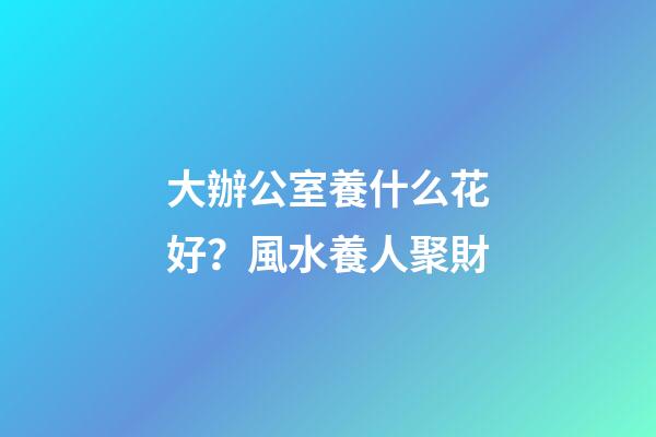 大辦公室養什么花好？風水養人聚財