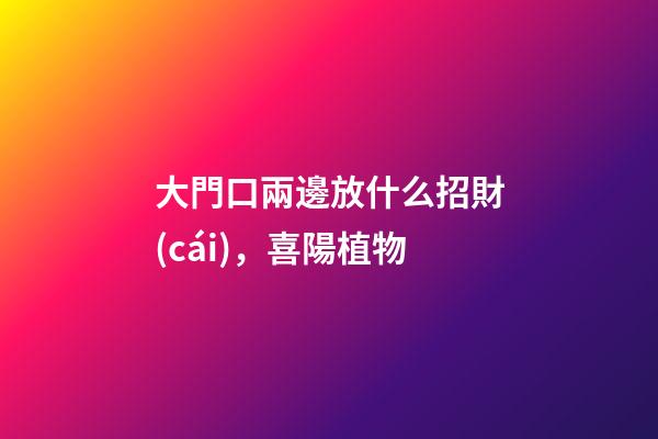 大門口兩邊放什么招財(cái)，喜陽植物