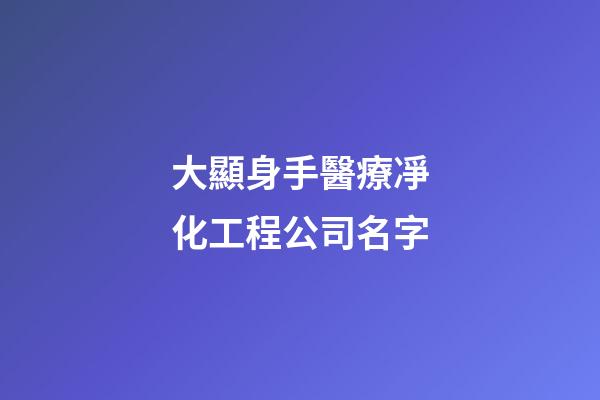 大顯身手醫療凈化工程公司名字-第1張-公司起名-玄機派