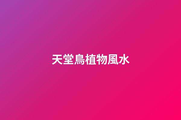 天堂鳥植物風水