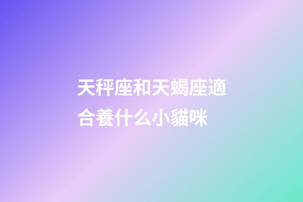 天秤座和天蝎座適合養什么小貓咪