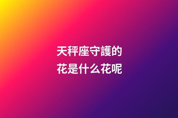 天秤座守護的花是什么花呢