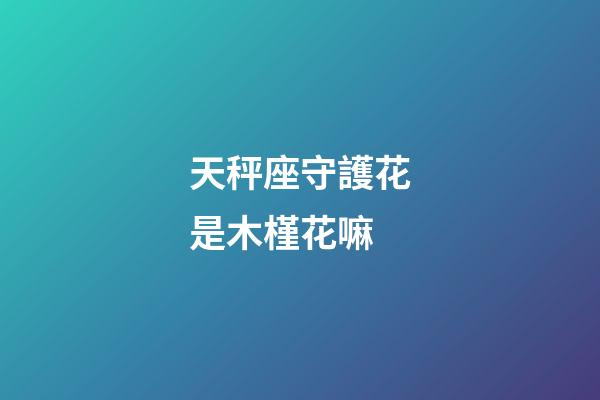 天秤座守護花是木槿花嘛-第1張-星座運勢-玄機派