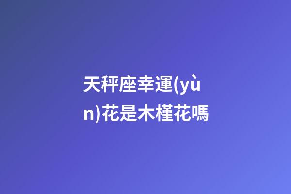 天秤座幸運(yùn)花是木槿花嗎