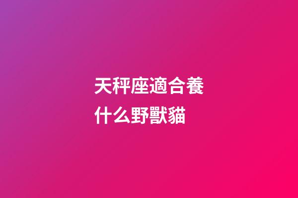 天秤座適合養什么野獸貓-第1張-星座運勢-玄機派