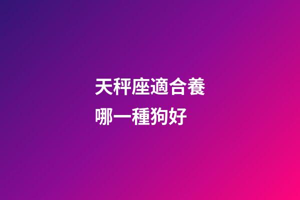 天秤座適合養哪一種狗好-第1張-星座運勢-玄機派
