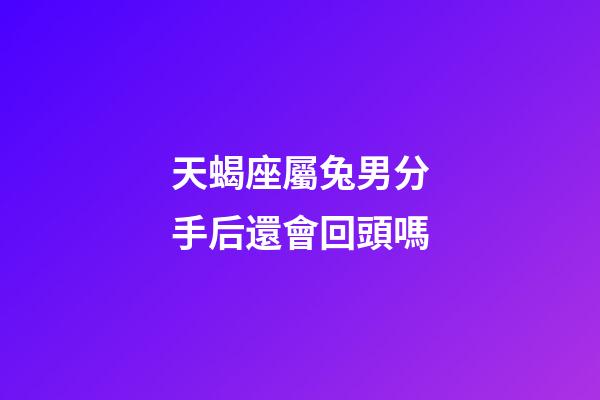 天蝎座屬兔男分手后還會回頭嗎-第1張-星座運勢-玄機派