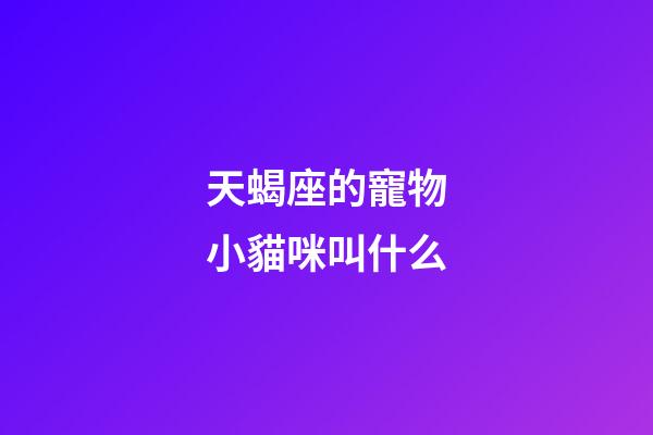天蝎座的寵物小貓咪叫什么