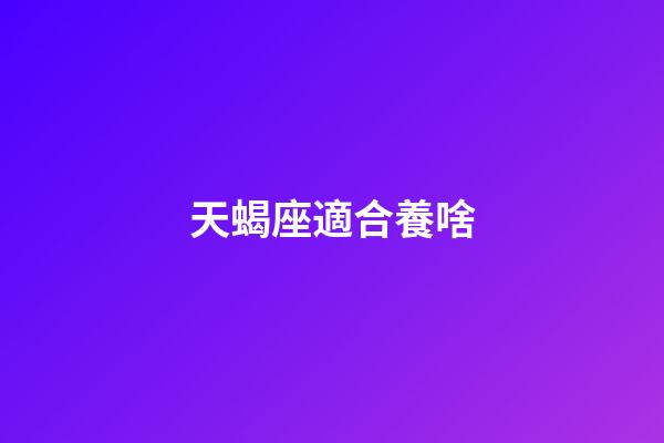 天蝎座適合養啥-第1張-星座運勢-玄機派