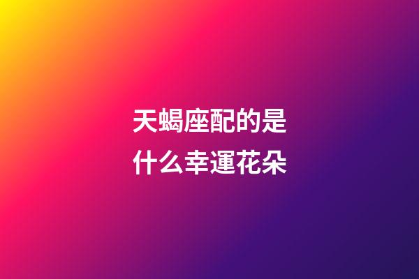 天蝎座配的是什么幸運花朵