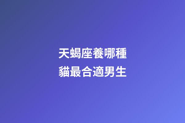 天蝎座養哪種貓最合適男生-第1張-星座運勢-玄機派