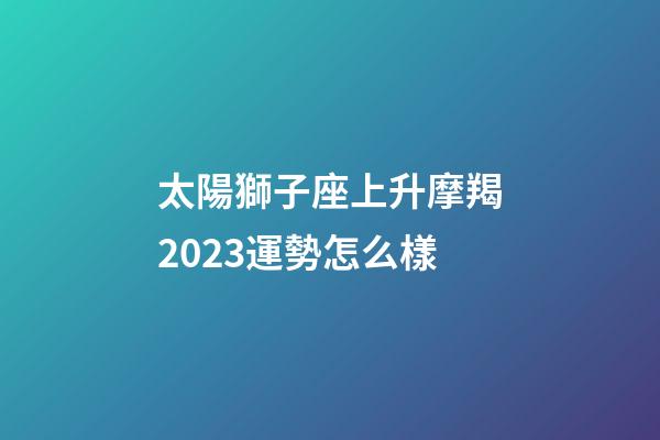 太陽獅子座上升摩羯2023運勢怎么樣-第1張-星座運勢-玄機派