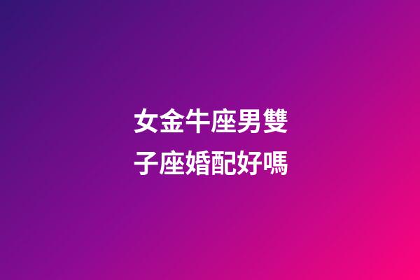 女金牛座男雙子座婚配好嗎-第1張-星座運勢-玄機派