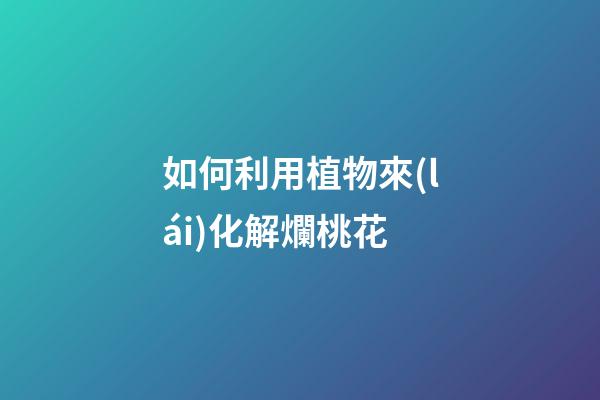 如何利用植物來(lái)化解爛桃花